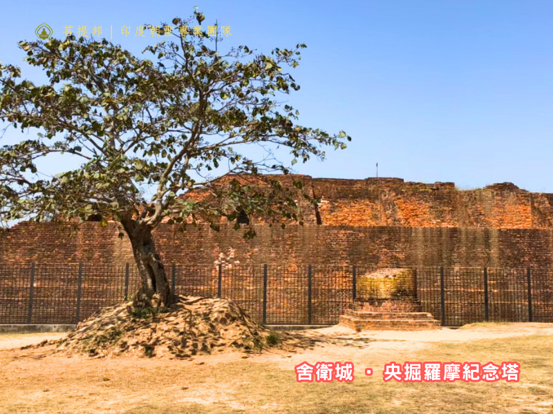 yangjueluomojinianta