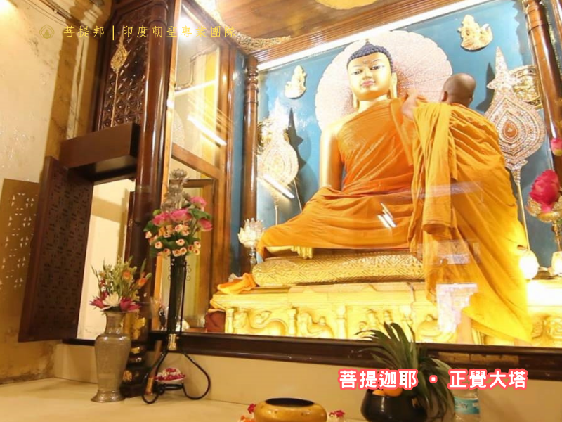 zhengjuedata
