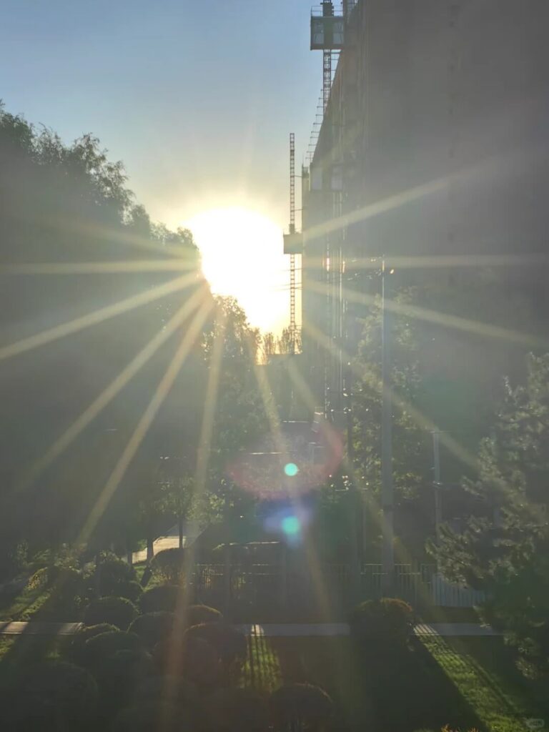 城市晨光灑落於花園的景象