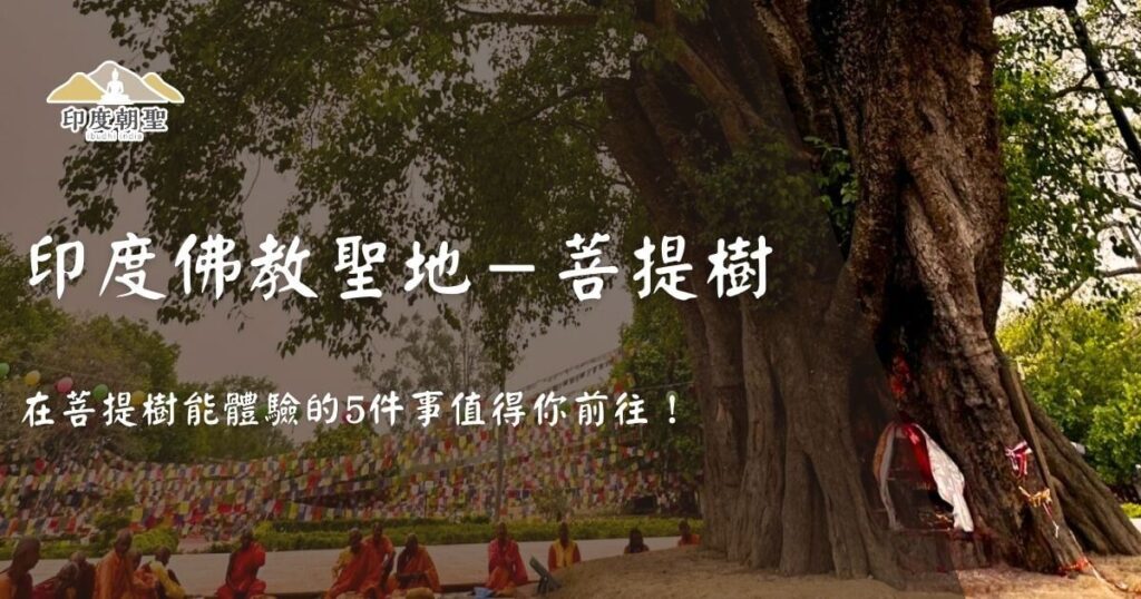 印度佛教聖地菩提樹