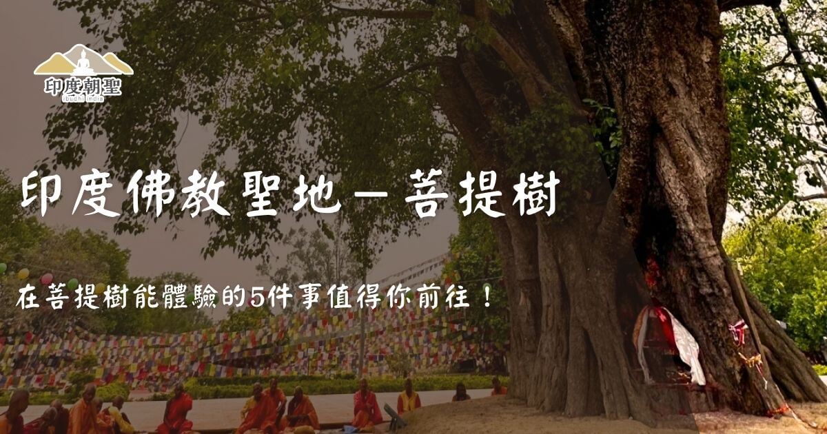 印度佛教聖地菩提樹